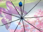 Зонт  женский River арт.6105_product